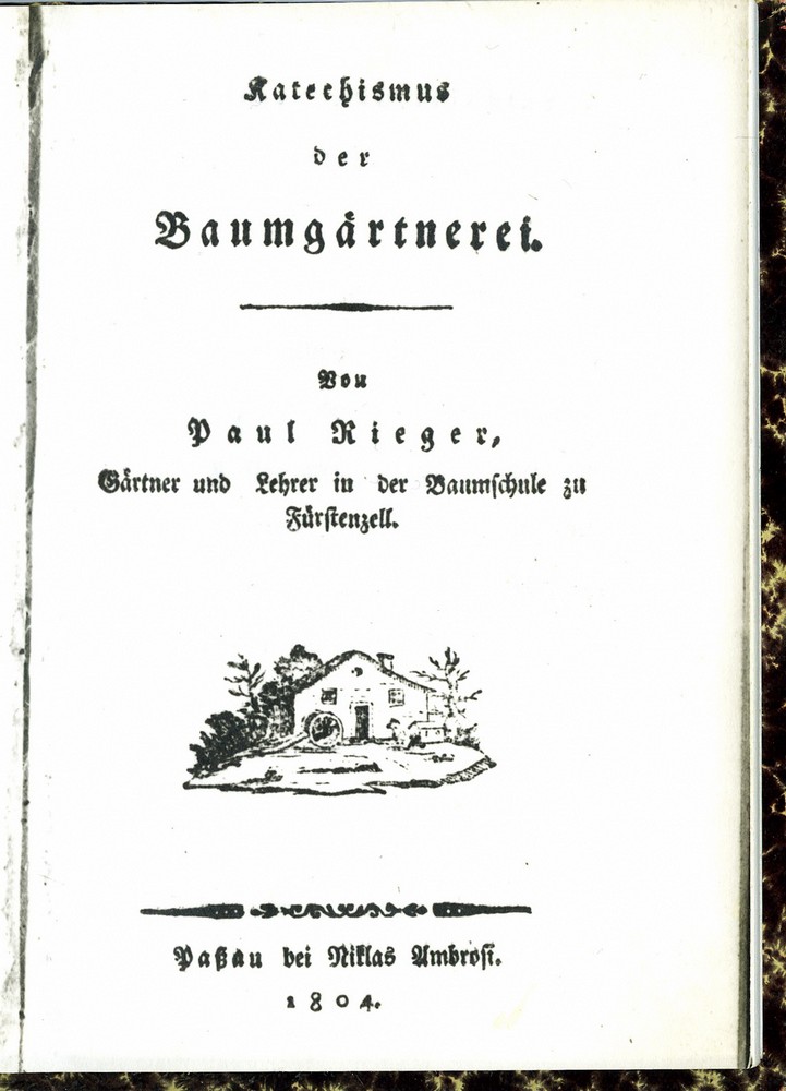 Rieger Paulus Buch